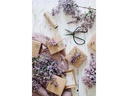 Colop Stempel Little NIO Set deutscher Text, 10-teilig