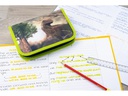 Eberhard Faber Etui Dino 42-teilig, Grün