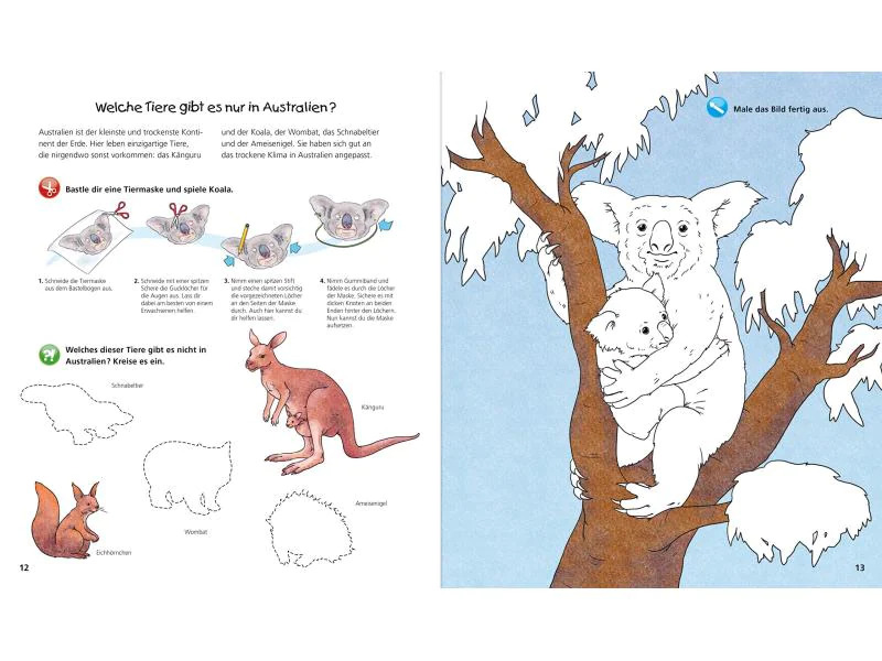 Ravensburger Kinder-Sachbuch WWW Aktiv-Heft Tiere der Welt