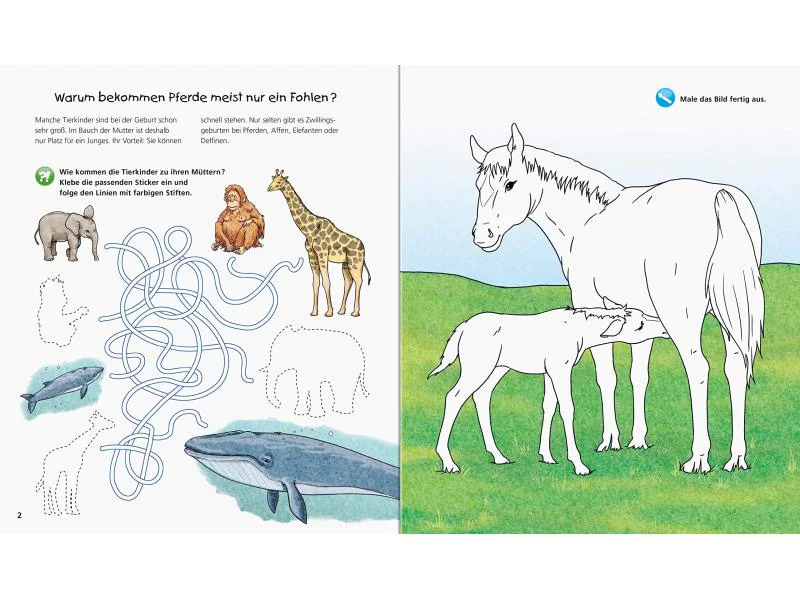 Ravensburger Kinder-Sachbuch WWW Aktiv-Heft Tierkinder
