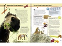 Ravensburger Kinder-Sachbuch WWW ProfiWissen 4: Pferde