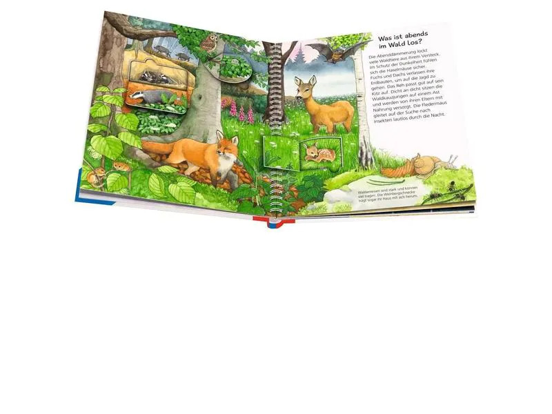 Ravensburger Kinder-Sachbuch WWW Tiere bei uns
