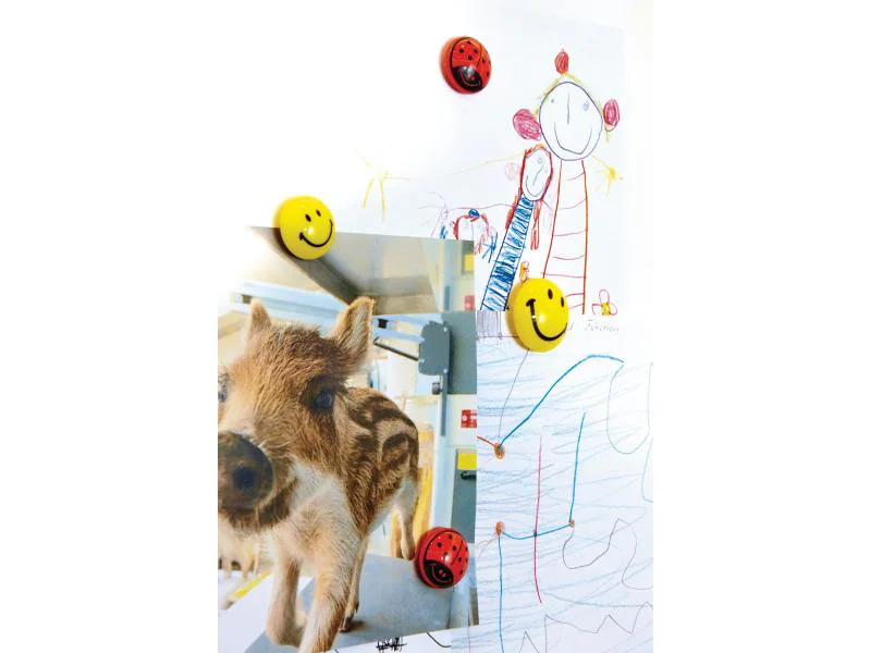 Magnetoplan Haftmagnet Smiley Ø 2 cm 8 Stück