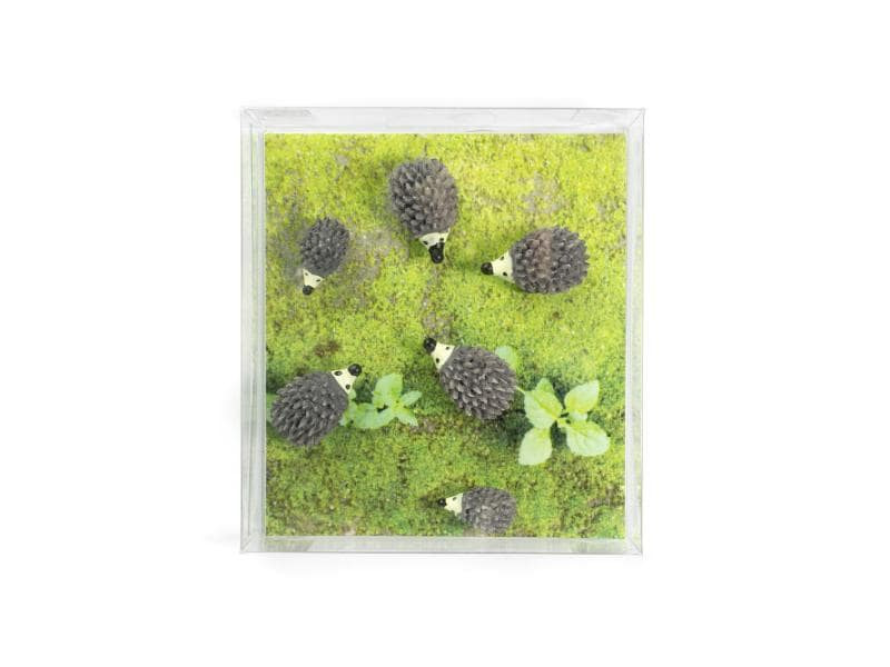Trendform Haftmagnet HEDGEHOG Grau, 6 Stück