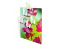 Trendform Haftmagnet LLAMA 5er Set