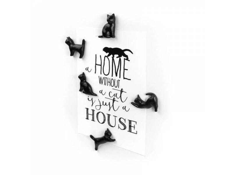 Trendform Haftmagnet Meow 5er Set