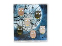 Trendform Haftmagnet OWL  Mehrfarbig, 6 Stück