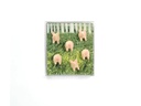 Trendform Haftmagnet PIGGY Rosa, 6 Stück