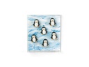 Trendform Haftmagnet PINGU Schwarz/Weiss, 6 Stück