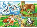 Ravensburger Puzzle Tiere im Zoo