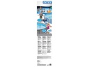 Intex Poolreinigung Deluxe Kit