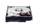 Western Digital Harddisk WD Blue 3.5 SATA 1 TB