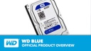 Western Digital Harddisk WD Blue 3.5 SATA 1 TB