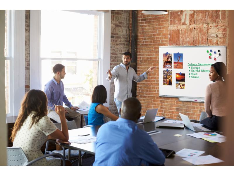 Legamaster Whiteboard PROFESSIONAL 100 cm x 200 cm, Grau/Weiss