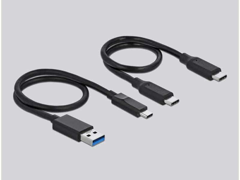 Delock Dockingsstation USB-C - M.2 NVMe