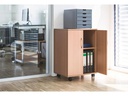 DURABLE Multifunktionswagen 74/53 2 Türen, 2 Böden, Braun