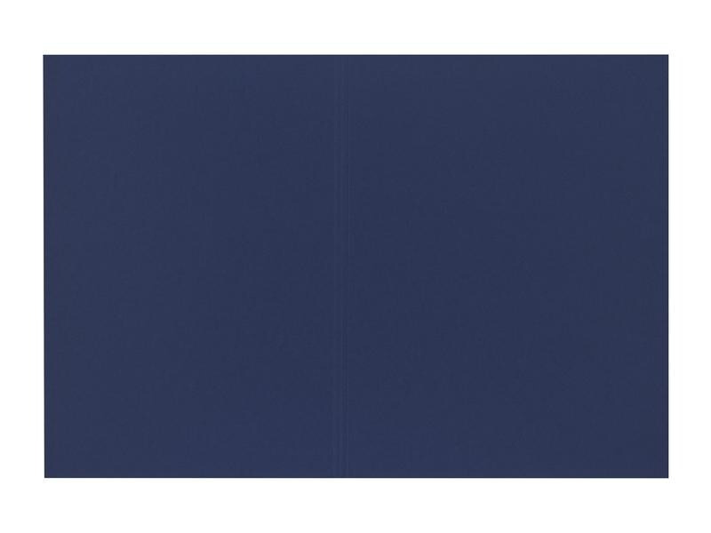 Biella Einlagemappe Recycolor A4 Blau