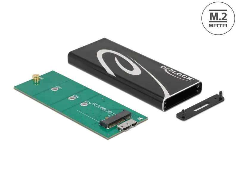 Delock Externes Gehäuse SuperSpeed USB 3.2 Gen 2 - SATA SSD M.2