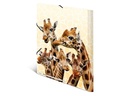 HERMA Gummibandmappe Giraffe A4, Mehrfarbig