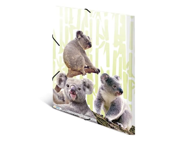 HERMA Gummibandmappe Koala A4, Mehrfarbig
