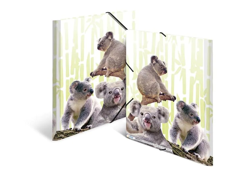 HERMA Gummibandmappe Koala A4, Mehrfarbig