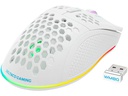 DELTACO Gaming-Maus WM80 RGB Weiss