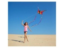 Invento-HQ Einleinerdrachen Butterfly Ruby, L