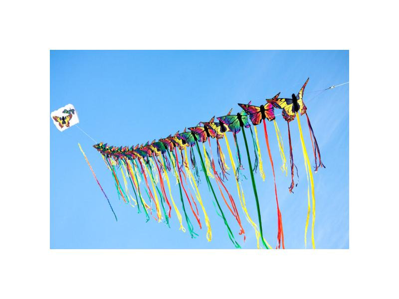 Invento-HQ Einleinerdrachen Butterfly Ruby, L