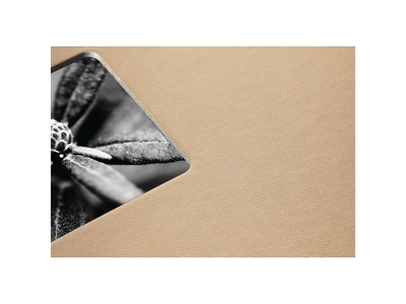 Hama Fotoalbum Fine Art 24 x 17 cm Taupe, 50 schwarze Seiten