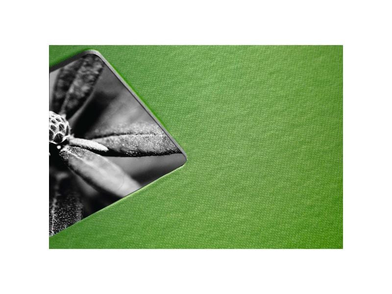Hama Fotoalbum Fine Art 36 x 32 cm Grün, 50 schwarze Seiten