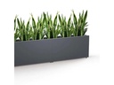 Herstera Pflanzentrog Metal Planter 30, 100 x 30 x 50 cm, Anthrazit