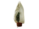 BioGreen Pflanzenschutz-Haube XL 100x80 cm