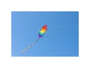Invento-HQ Einleinerdrachen Flapping Willie Worm