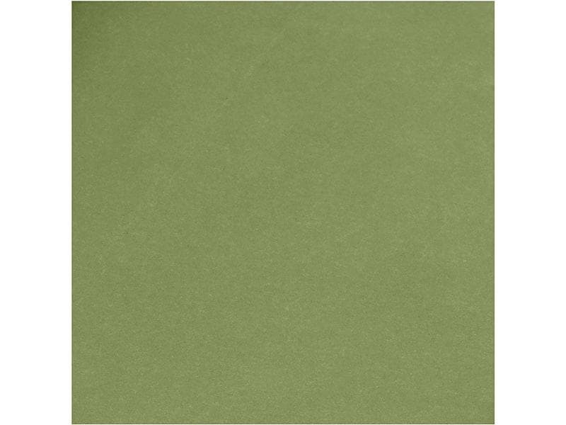 Creativ Company Lederpapier Rolle, 350 g, 1 Stück, Grün