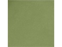 Creativ Company Lederpapier Rolle, 350 g, 1 Stück, Grün