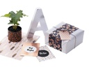 Folia Designpapier Hot foil Gold/Silber/Mint/Weiss
