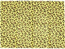 Rico Design Seidenpapier Leo 50 x 70 cm, 20 g/m²,  1 Stück, Mehrfarbig