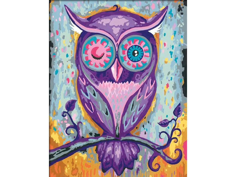 Ravensburger Malen nach Zahlen Serie C Dreaming Owl