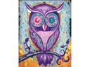 Ravensburger Malen nach Zahlen Serie C Dreaming Owl