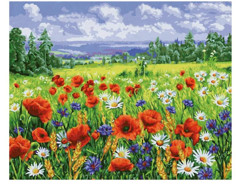 Schipper Malen nach Zahlen Blumenwiese