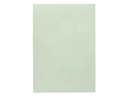 Artoz Schreibpapier 1001 A4 100 g/m² Mint, 5 Blatt