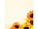 Sigel Motivpapier Field of Sun A4, 50 Blatt