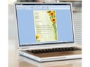 Sigel Motivpapier Sunflower A4, 25 Blatt