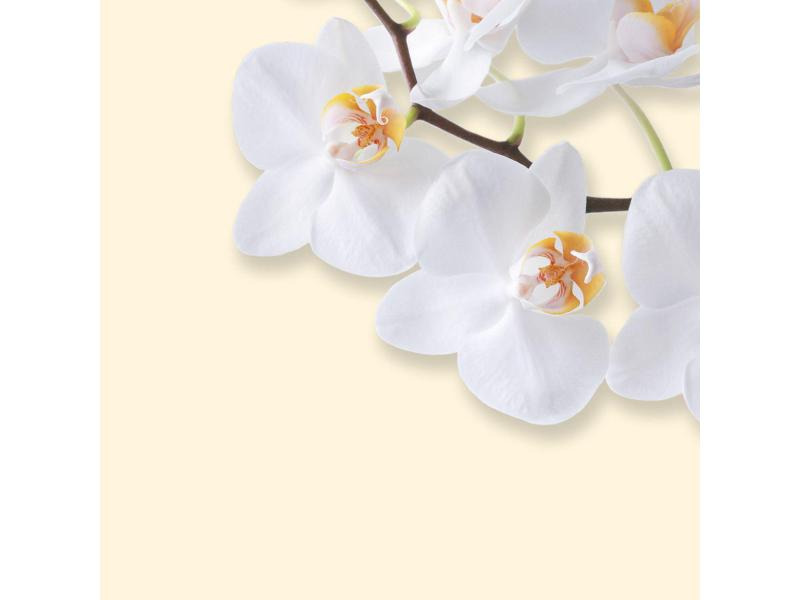 Sigel Motivpapier White Orchid A4, 50 Blatt