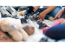 Mamanimals Kuscheltier Katzen Babys 4 Stk.
