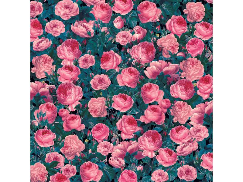 Cricut Aufbügelfolie Infusible Ink Cabbage Rose 2 Stück