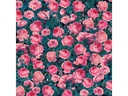 Cricut Aufbügelfolie Infusible Ink Cabbage Rose 2 Stück