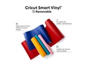 Cricut Vinylfolie Smart ablösbar 33 x 91 cm, 1 Stück, Orange