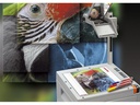 Folex Folie BG-32.5 RS Plus A4 Projektionsfolie