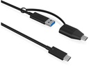 ICY BOX USB-Kabel IB-CB033 USB C - USB A 0.35 m